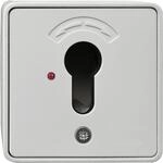 Rademacher 4593 Schl&uuml;sseltaster Unterputz ohne Zylinder 75x75x50 mm, grau (80000007)