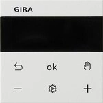 Gira 539303 System 3000 Raumtemperaturregler Display, System 55, reinwei&szlig; gl&auml;nzend