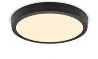 Philips Magneos Funktional LED Downlight, 20W, 1900lm, 2700K, schwarz...