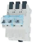 Hager HTS350C SLS-Schalter 3-Polig, Cs-Charakteristik, 50A, f&uuml;r Sammelschiene