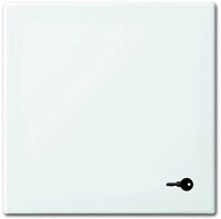 Busch-Jaeger 2520 TR-914 Wippe mit Aufdruck und Symbol Schl&uuml;ssel, Busch-balance Si,