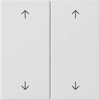 Gira 538727 Wippe 2fach mit Pfeilsymbolen System 55, Reinwei&szlig; Seidenmatt