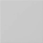 Gira 5372015 Wippe 1fach unbedruckt System 55, Grau Matt