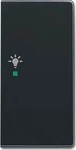 Busch-Jaeger 6220-0-0062, Busch-Jaeger Wippe 2-fach Symbol Licht, Anthrazit