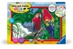 CreArt Malen nach Zahlen Kinder - Bunte Papageien / Ravensburger Spieleverlag / Spiel
