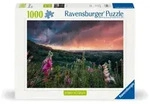 Erwachsenenpuzzle 1000 Teile - Ein Sturm zieht auf / Ravensburger Spieleverlag /