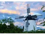 Erwachsenenpuzzle 1000 Teile - Windm&uuml;hle bei Retz / Ravensburger Spieleverlag /