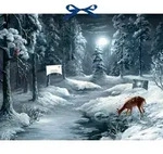 Coppenrath - Liegt nun so still die weite Welt Zettel-Adventskalender /...