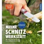 Meine Schnitzwerkstatt von Astrid Schulte / Franckh-Kosmos / Buch