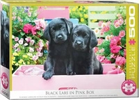 Eurographics 6500-5462 - Schwarze Labradore in einer rosa Schachtel Puzzle 500 Teile