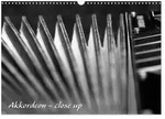Akkordeon - close up (Wandkalender 2026 DIN A3 quer) CALVENDO Monatskalender von