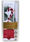 Hahnem&uuml;hle Papier Bookmark Painting Set - Christmas Edition 3 Aquarellfarben