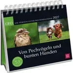 Postkartenkalender 2027: Von Pechv&ouml;geln und bunten Hunden von Geo / Pattloch