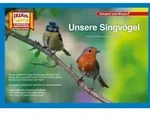 Kamishibai: Unsere Singv&ouml;gel von Verena Sangu / Hase und Igel Verlag GmbH / Bei