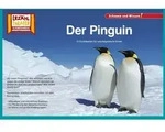 Kamishibai: Der Pinguin / Hase und Igel Verlag GmbH / Bei Hugendubel