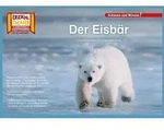 Kamishibai: Der Eisb&auml;r / Hase und Igel Verlag GmbH / Bei Hugendubel