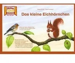 Das kleine Eichh&ouml;rnchen / Kamishibai Bildkarten von Monika Burger / Hase und...