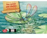 Von Larven und Libellen. Mit Kindern &uuml;ber den Tod und das Danach...