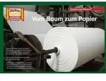 Vom Baum zum Papier / Kamishibai Bildkarten von Verena Sangu / Hase und Igel Verlag