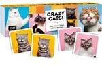 Memo-Spiel: Crazy cats! / Edition Michael Fischer / Spiel