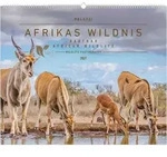 Hautnah - Afrikas Wildnis 2027 von Neumann Verlage GmbH & Co. KG / PALAZZI...