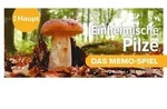 Einheimische Pilze - das Memo-Spiel von Haupt Verlag / Haupt Verlag AG / Spiel