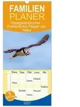 Familienplaner 2027 - Papageientaucher - Farbenfrohe Flieger der Natur mit 5...