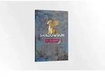 Shadowrun: Kaleidoskope 2 (Hardcover) *Limitierte Ausgabe* / Pegasus Spiele GmbH /