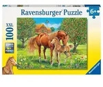 Pferdegl&uuml;ck auf Wiese Puzzle 100 Teile / Ravensburger Spieleverlag / Spiel