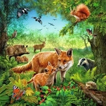 Ravensburger Spieleverlag Tiere der Erde Puzzle 3 x 49 Teile