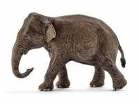 Schleich - Wild Life - Asiatische Elefantenkuh