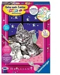 Ravensburger - Malen nach Zahlen mit farbigen Motivlinien - Schlafende Katzen