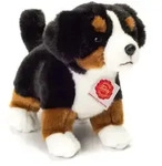 Teddy-Hermann - Berner Sennenhund Welpe stehend 23 cm