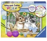Ravensburger - Malen nach Zahlen - Putzige Freunde / Ravensburger / Spiel