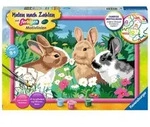 Ravensburger - Malen nach Zahlen - Putzige H&auml;schen / Ravensburger / Spiel