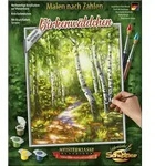 Schipper Malen nach Zahlen - Birkenw&auml;ldchen / Noris Spiele GmbH / Spiel