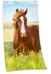 Young Collection 6124206516 - Pferd Velourstuch 75x150 cm 100% Baumwolle / Herding /