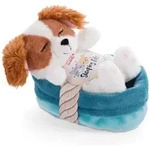NICI - Sleeping Pets - Welpe Cockerspaniel 12cm im K&ouml;rbchen / NICI / Spiel