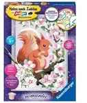 Ravensburger Malen nach Zahlen 20064 - Neugieriges Eichh&ouml;rnchen - Kinder ab 9 Jahren