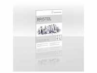 Hahnemühle Papier Bristol DIN A 3 250 g/m2