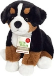 Teddy-Hermann - Berner Sennenhund sitzend 26 cm / Teddy-Hermann / Spiel