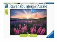 Ravensburger Nature Edition 17492 Lupinen - 500 Teile Puzzle für Erwachsene und