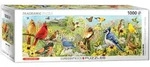 Backyard Birds Panoramic 1000pc / Eurographics / Spiel