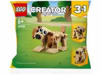 LEGO Creator 30666 Geschenkset mit Tieren Bausatz, Mehrfarbig