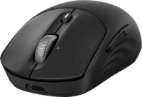 HP 700 wiederaufladbare Maus, Schwarz