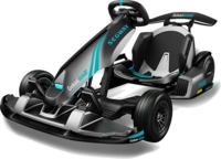 NINEBOT GoKart PRO 2 by Segway E-Board (3 Zoll, Grau)