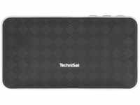 TECHNISAT BLUSPEAKER FL 200 Bluetooth Lautsprecher, Schwarz/Silber
