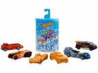 HOT WHEELS Color Reveal Die-Cast 2er-Pack, Farbwechsel, Spielzeugauto Spielzeugautos