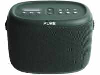 PURE Woodland wasserdichter (IP67) Outdoor-Lautsprecher mit Bluetooth und FM/DAB+