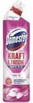 Domestos Kraft & Frische WC-Gel Floral Fresh